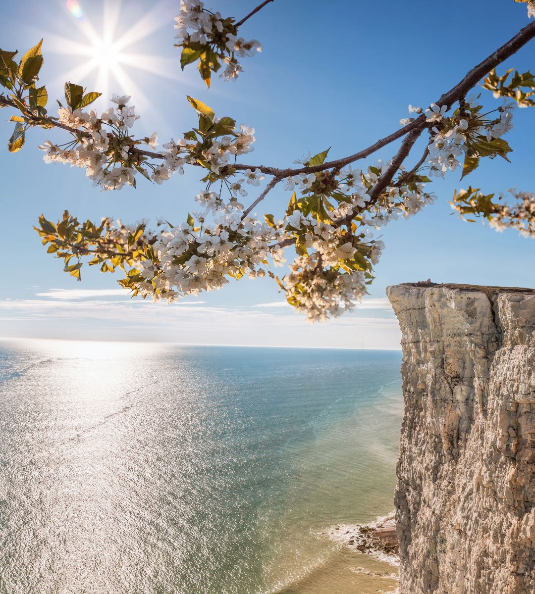 najdłuższy robak świata Foto: wybrzeże UK