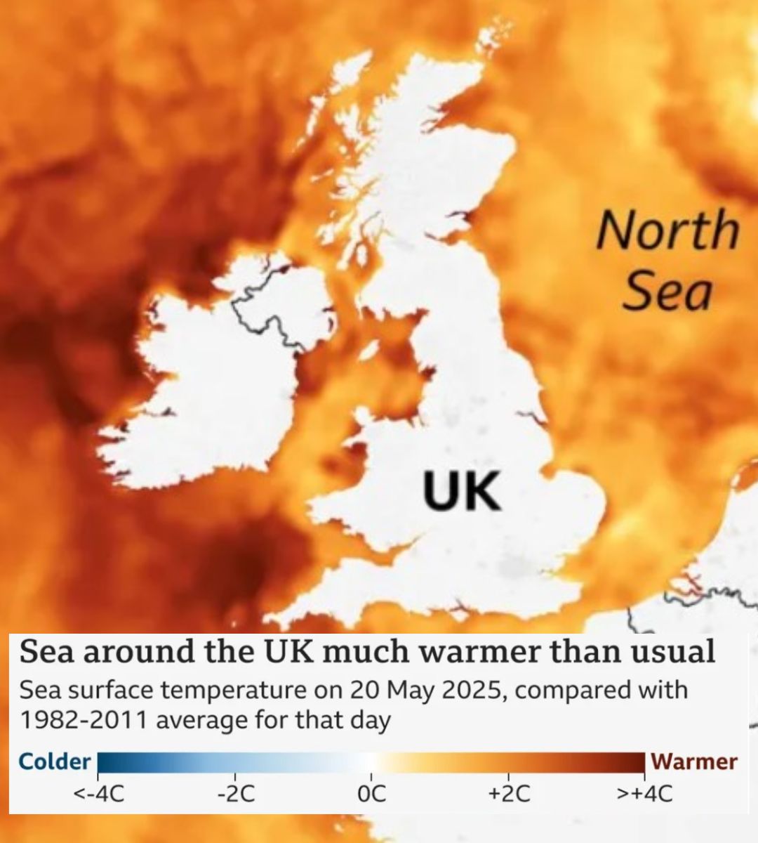 rekordowe temperatury wód wokół Wielkiej Brytanii