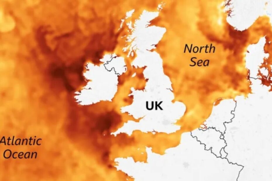rekordowe temperatury wód wokół Wielkiej Brytanii