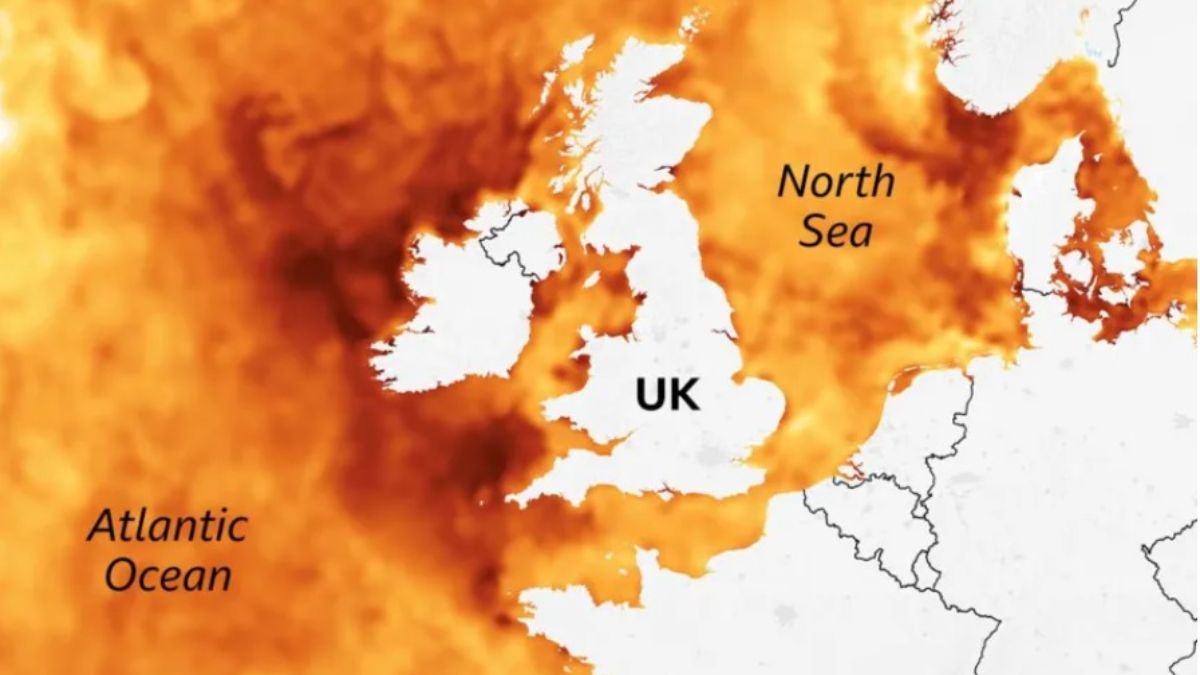 rekordowe temperatury wód wokół Wielkiej Brytanii