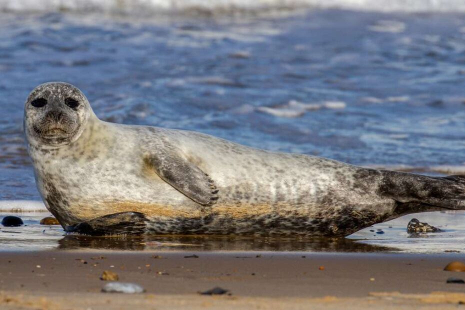 sekretna plaża w Wielkiej Brytanii