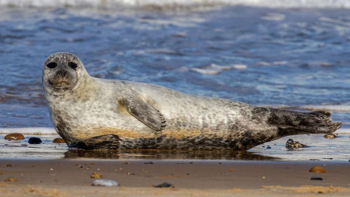 sekretna plaża w Wielkiej Brytanii