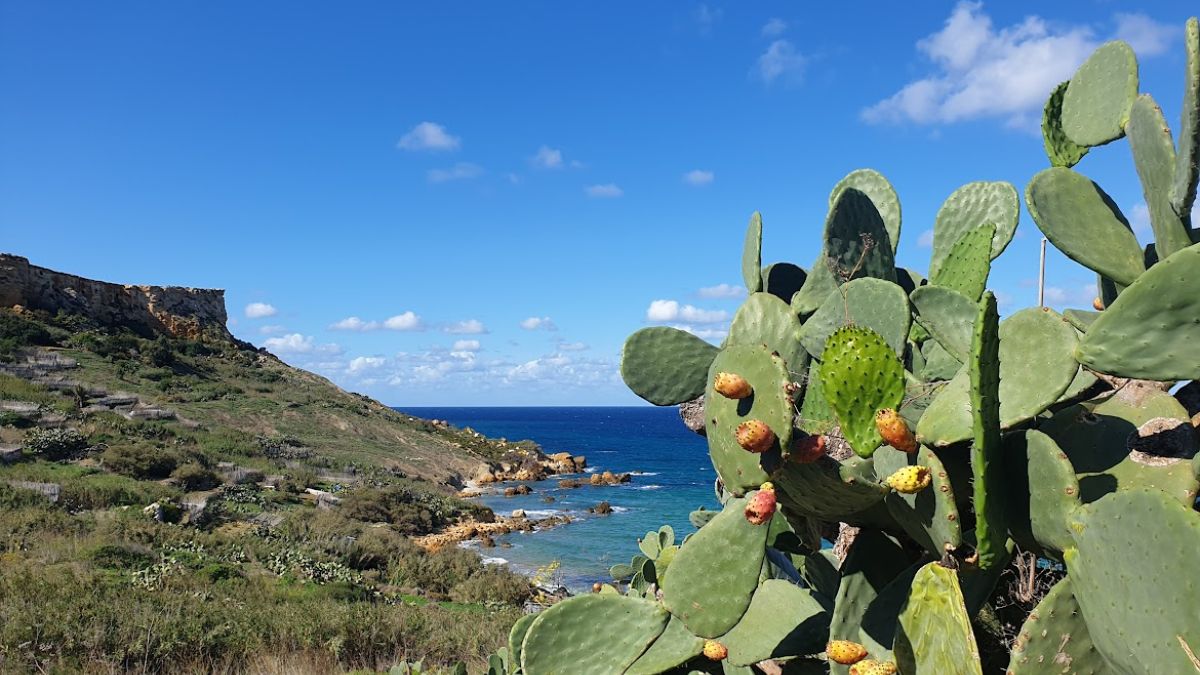 Tą uroczą wyspę zwiedzisz pieszo Foto: Gozo
