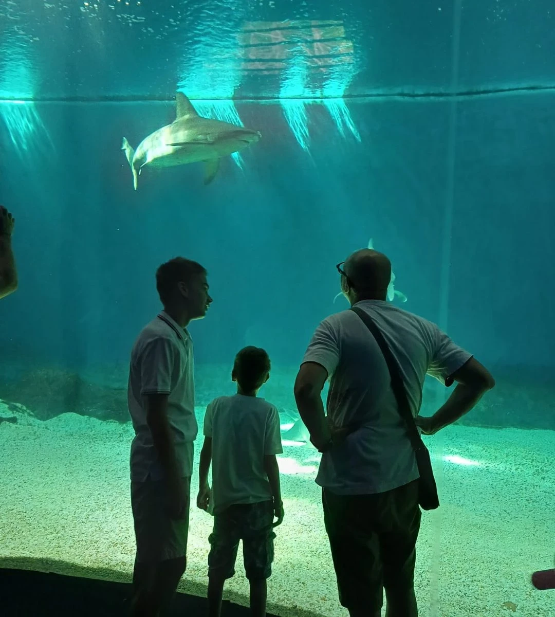 Genua – turystyczny hit 2026 roku Foto: Oceanarium w Genui