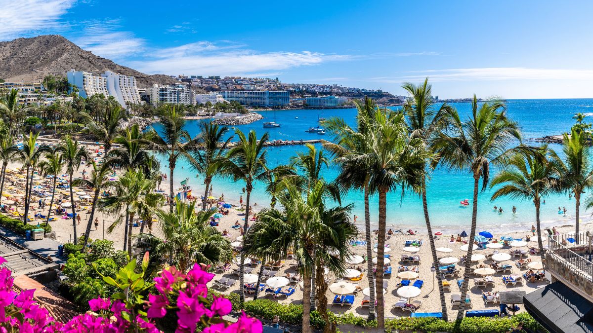 Gdzie jest ciepło w grudniu? Najlepsze kierunki w 2025 roku na zimowe wakacje w słońcu