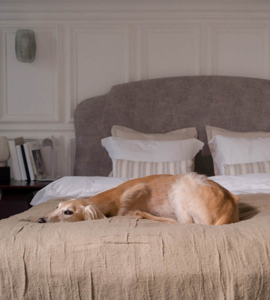 Jak sprawdzić pluskwy w hotelu