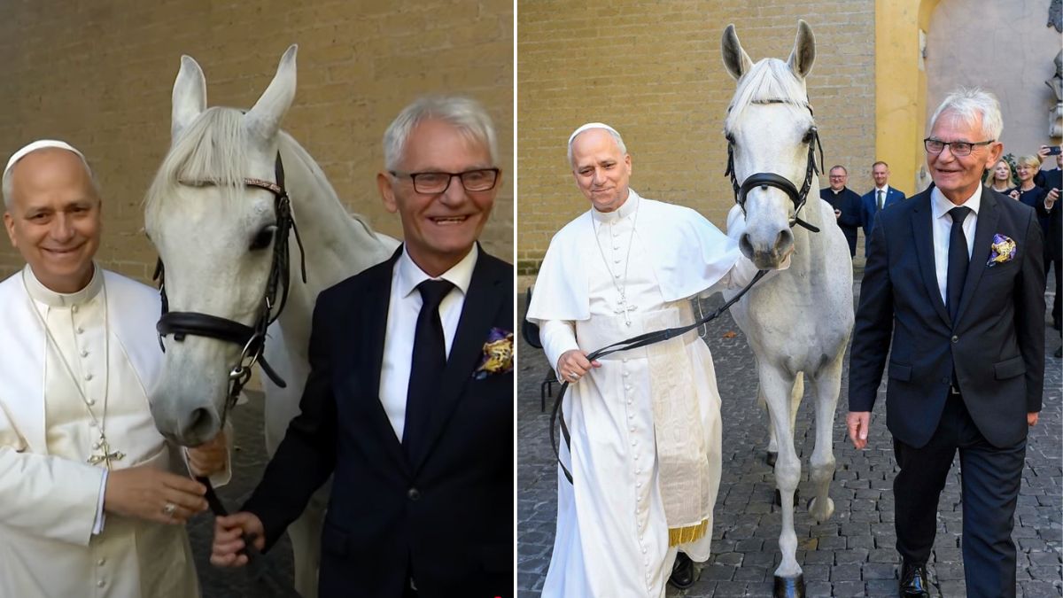 Papież Leon XIV zachwycony prezentem od Polaka. Dostał konia czystej krwi arabskiej
