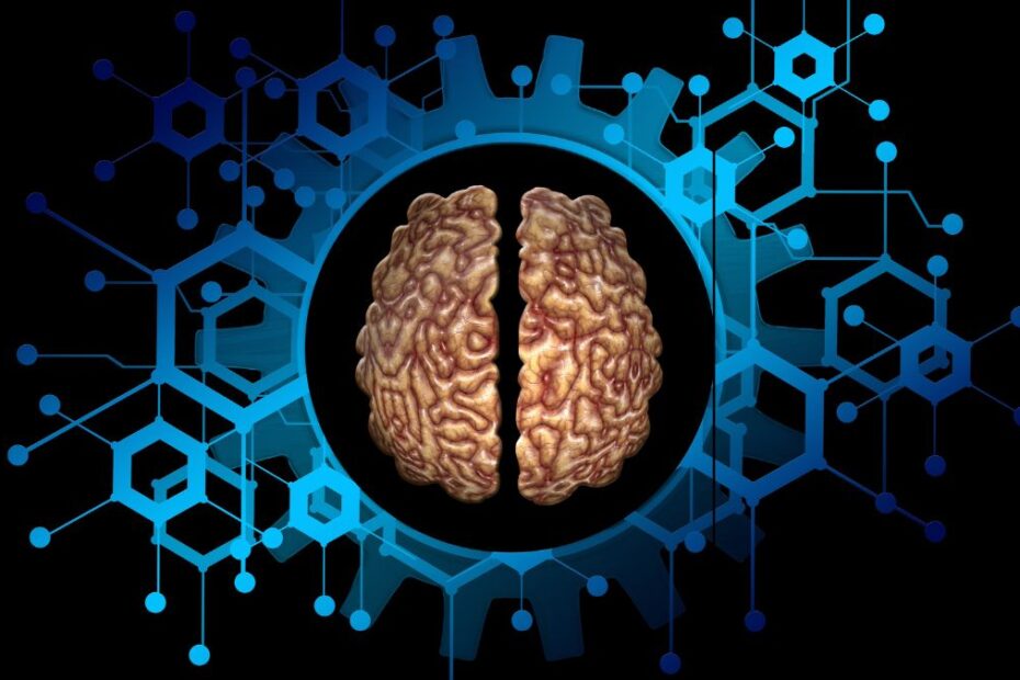 brak snu zwiększa ryzyko demencji Foto: ludzki mózg