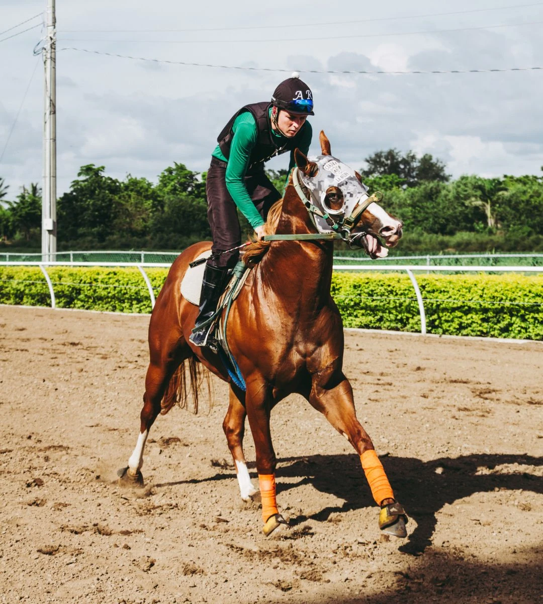 najlepsze miejsce do życia w Wielkiej Brytanii  Foto: jeździec na koniu