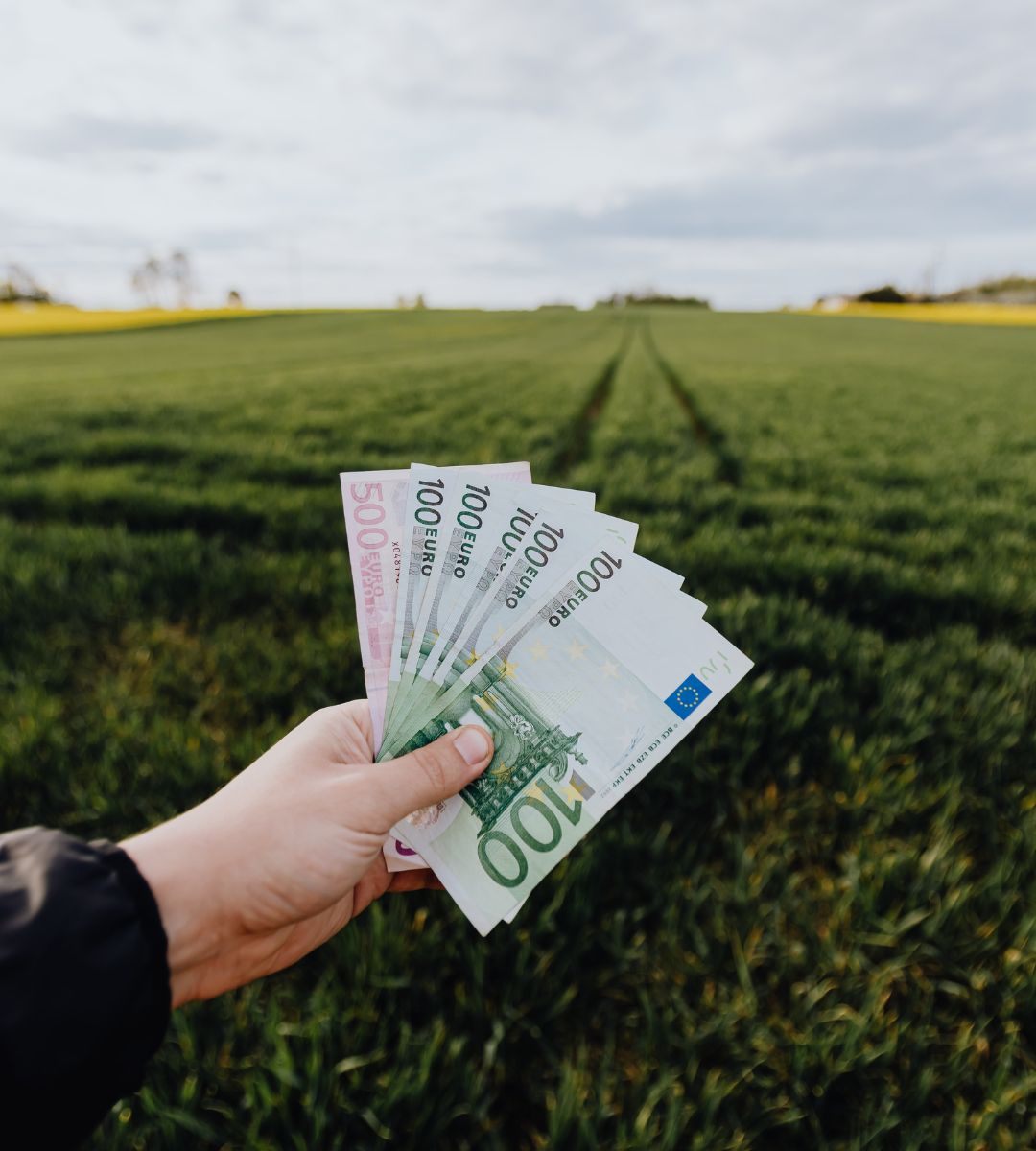 Płaca minimalna w Irlandii 2026.