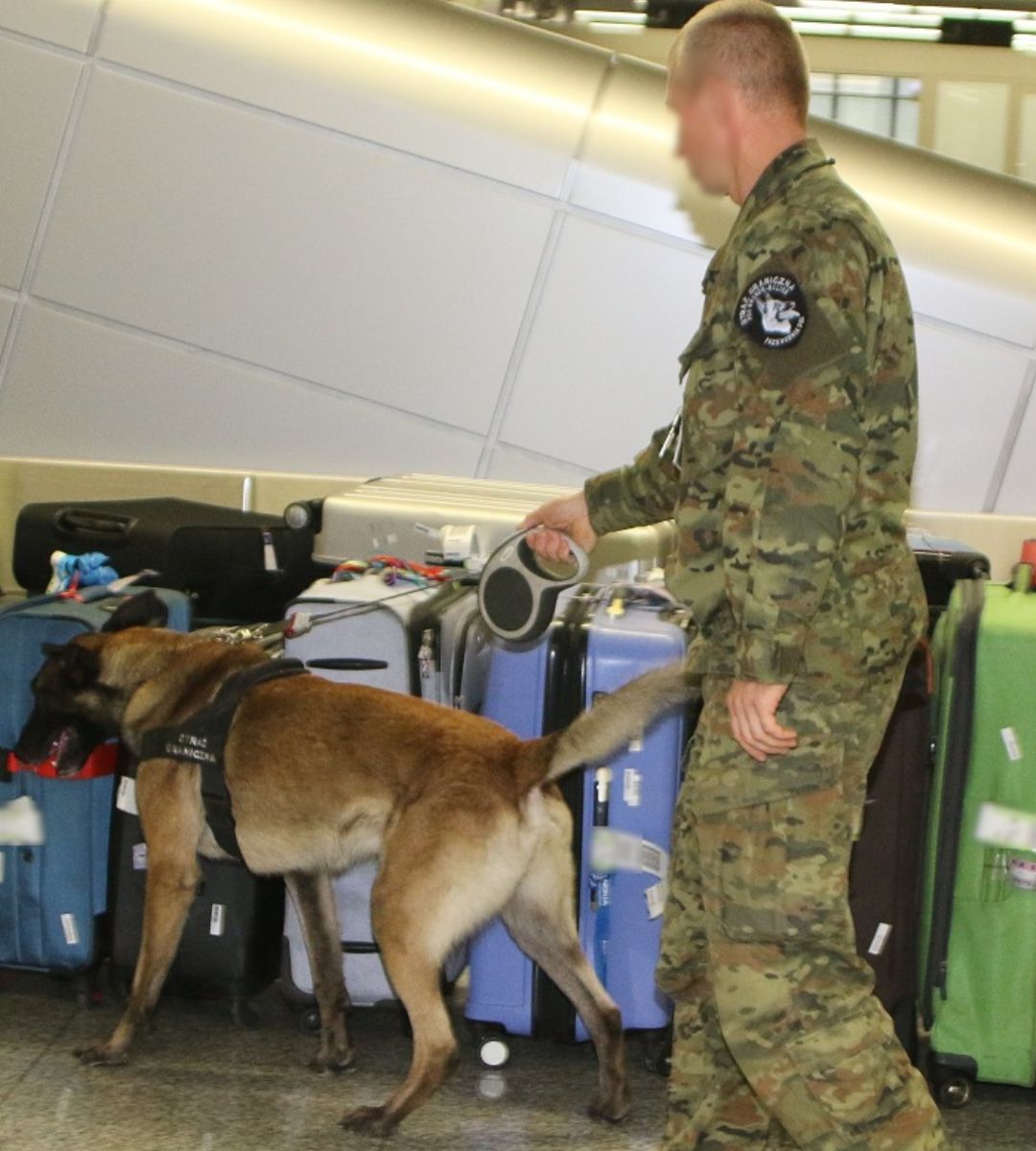 Surowe konsekwencje "żartu" na lotnisku. 