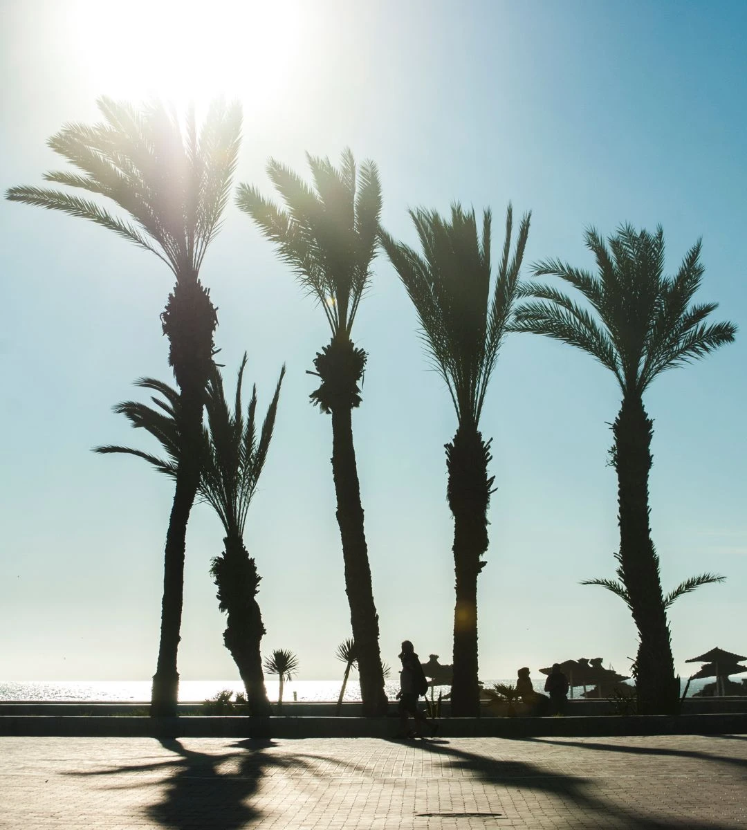 gdzie Polacy uciekają przed zimową aurą Foto:  morze i palmy