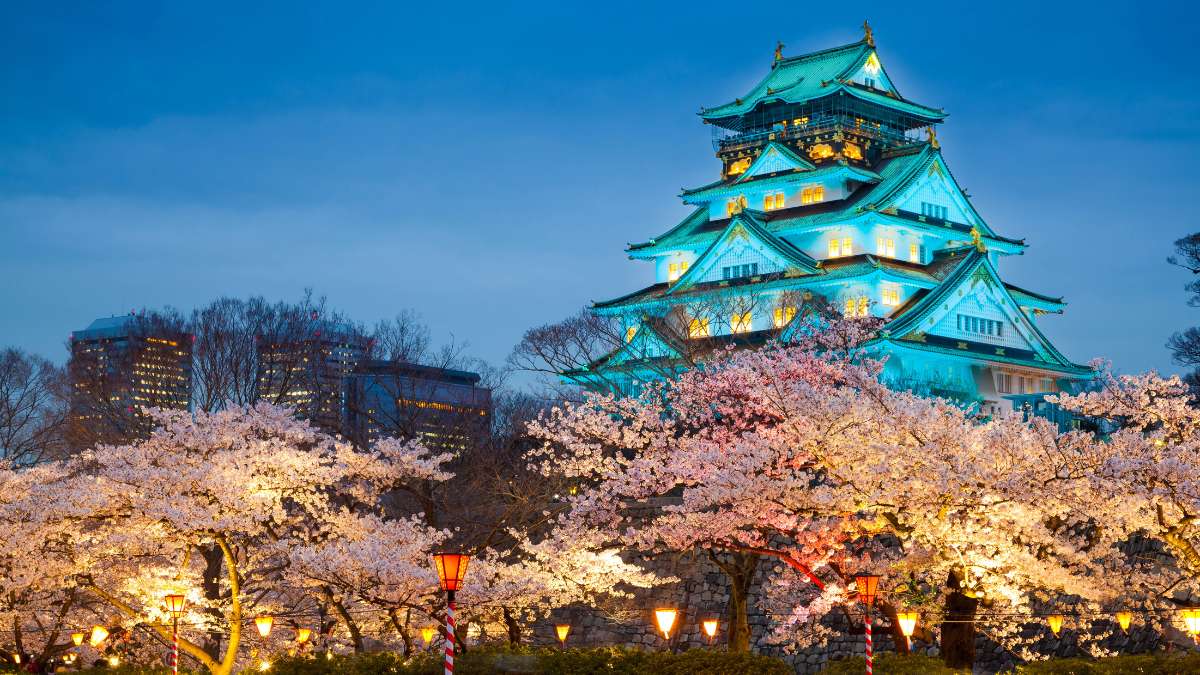 Japonia rozdaje darmowe loty