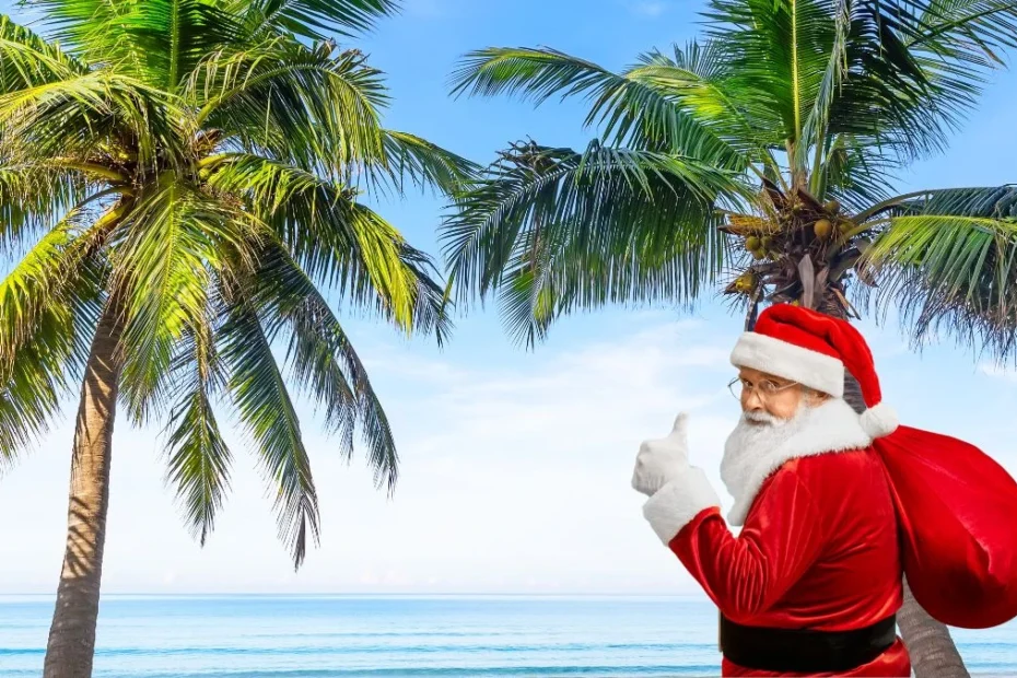 gdzie Polacy uciekają przed zimową aurą Foto: Święty Mikołaj na tle morza i palm