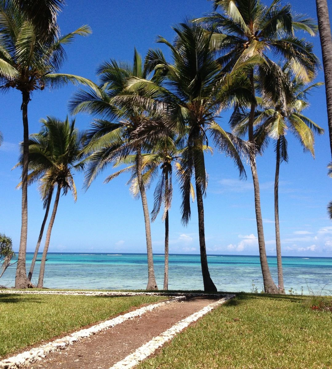 gdzie Polacy uciekają przed zimową aurą Foto:  morze i palmy