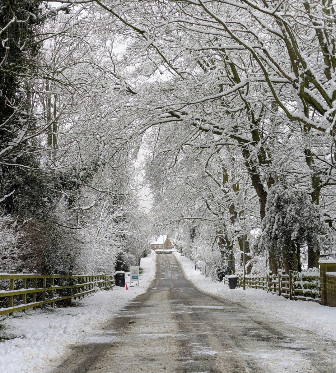 kto otrzyma 50 funtów WFP Foto: zaśnieżone ulice