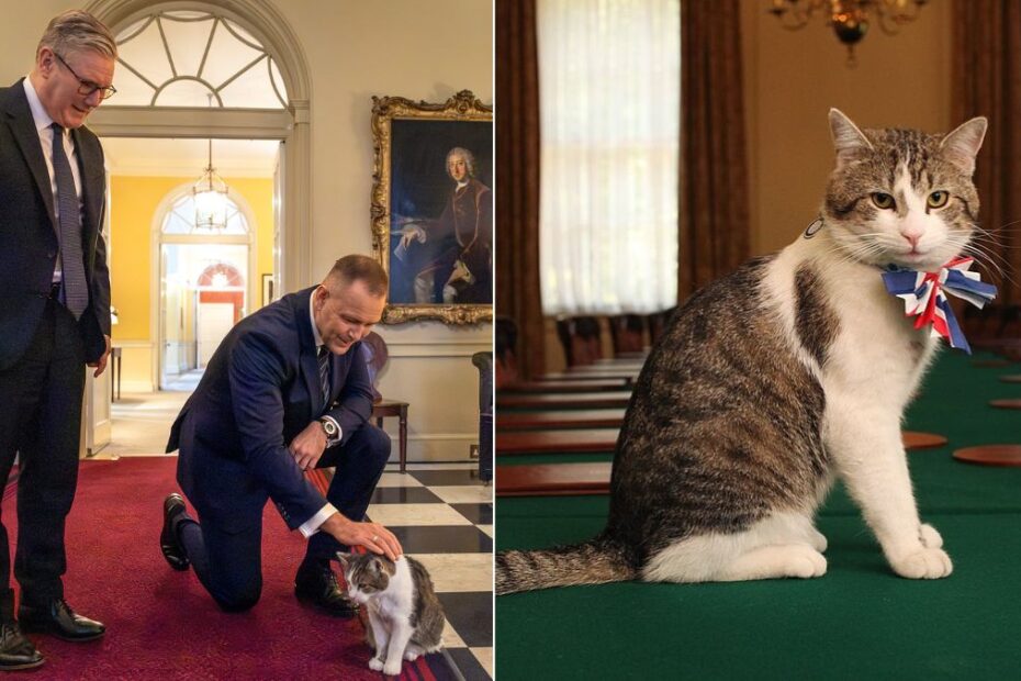 Wielka Brytania: Kot Larry świętuje 15 lat na Downing Street.