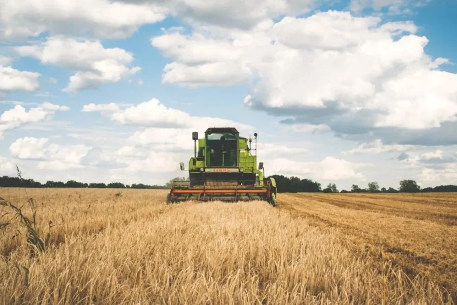 Skutki Brexitu pogrążają brytyjskie rolnictwo
