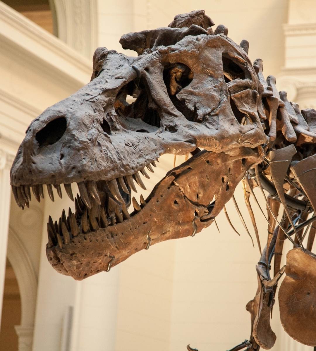 Najpopularniejsze atrakcje turystyczne w UK