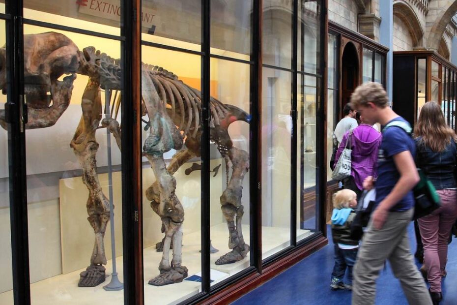 Najpopularniejsze atrakcje turystyczne w UK