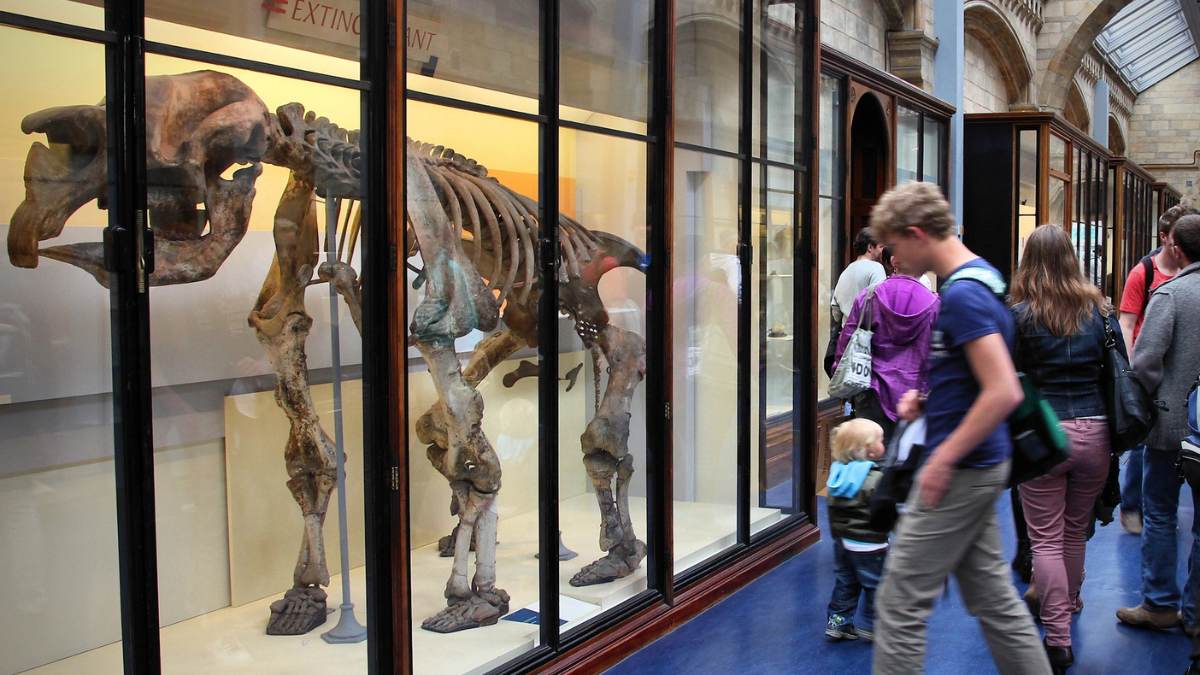 Najpopularniejsze atrakcje turystyczne w UK