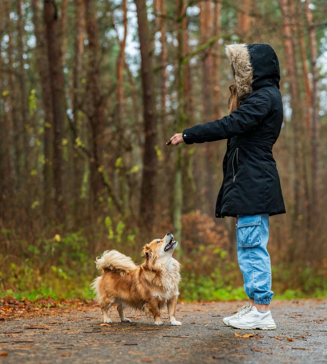 konieczność prowadzenia psa na smyczy Foto: kobieta z psem na spacerze