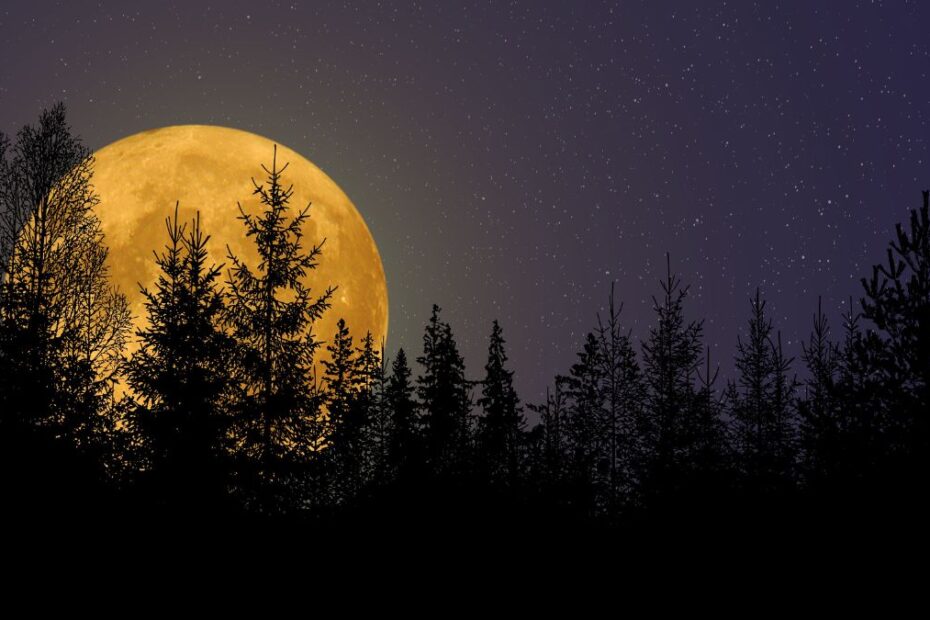 Skąd wzięła się nazwa Różowy Księżyc Foto: pełnia księżyca