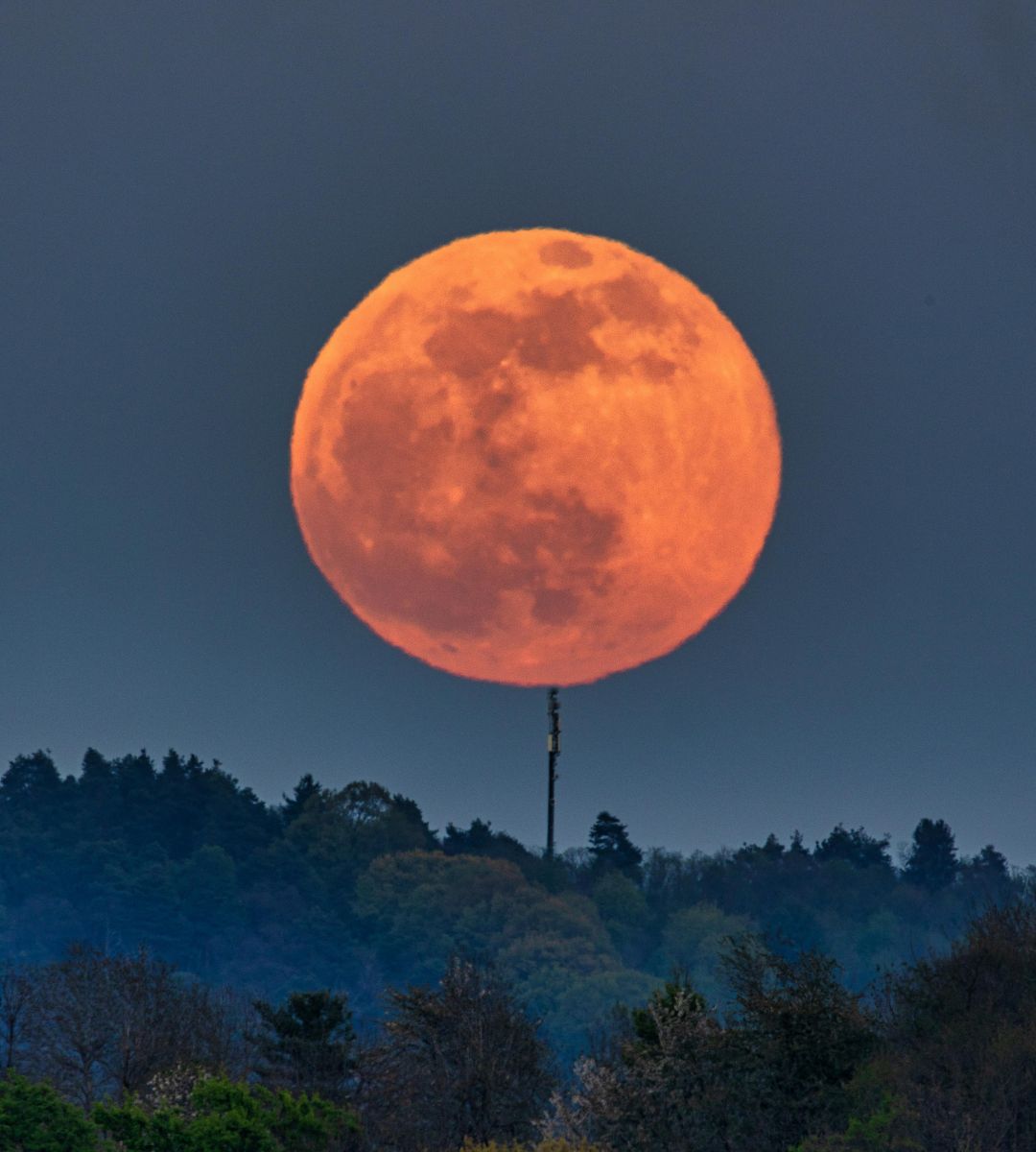 Skąd wzięła się nazwa Różowy Księżyc Foto: pełnia księżyca