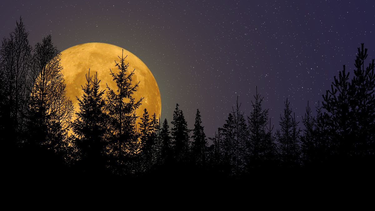 Skąd wzięła się nazwa Różowy Księżyc Foto: pełnia księżyca