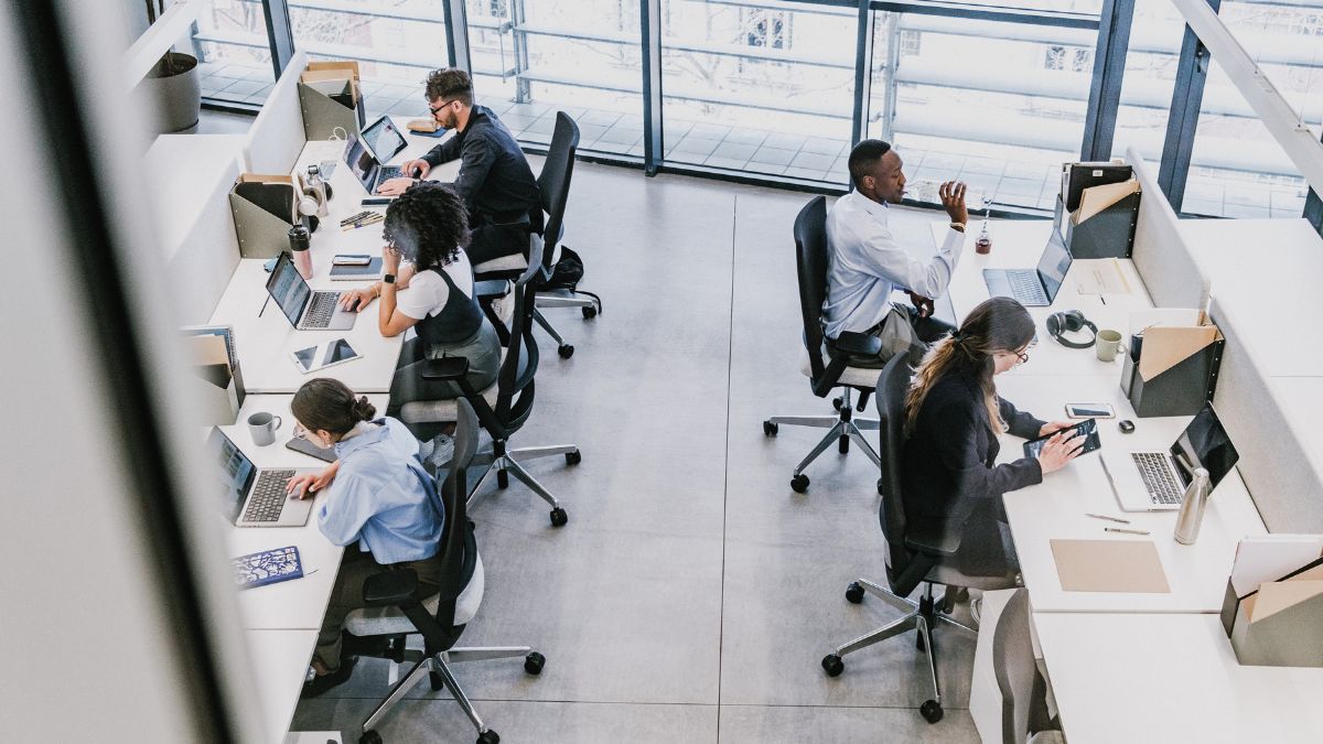 Zarobki w Wielkiej Brytanii 2026 Foto: pracownicy biurowi przy komputerach