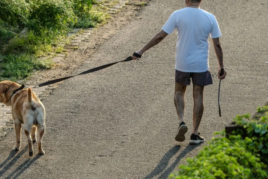 konieczność prowadzenia psa na smyczy Foto: mężczyzna z psem na spacerze
