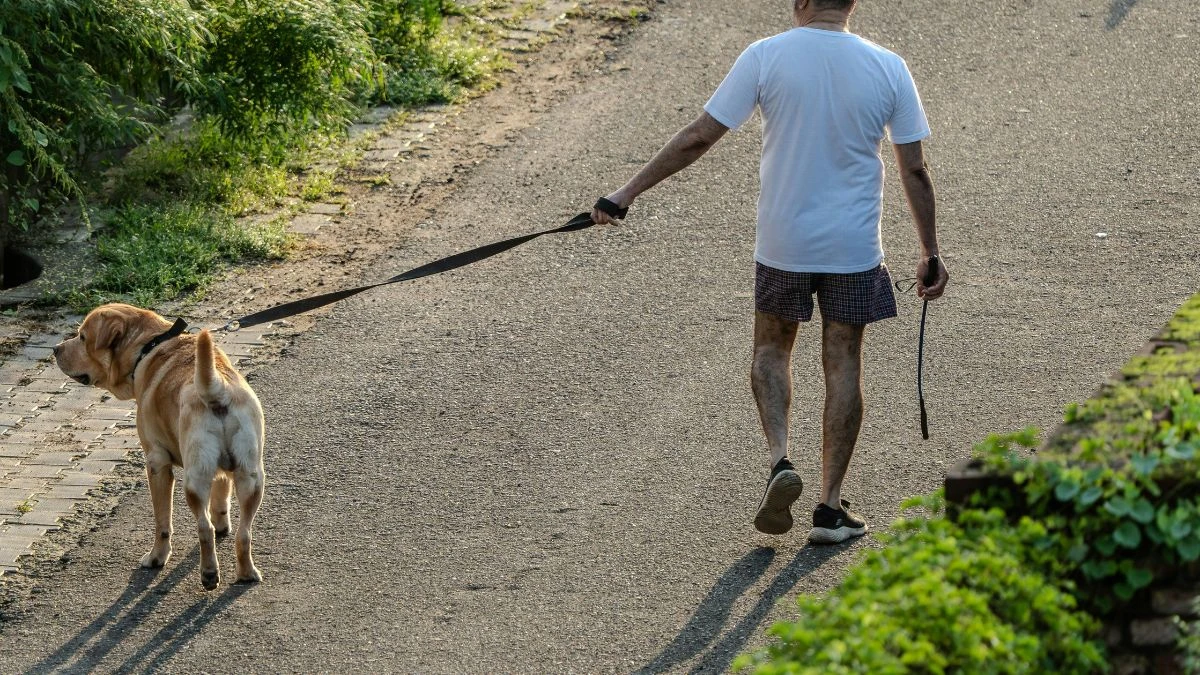 konieczność prowadzenia psa na smyczy Foto: mężczyzna z psem na spacerze