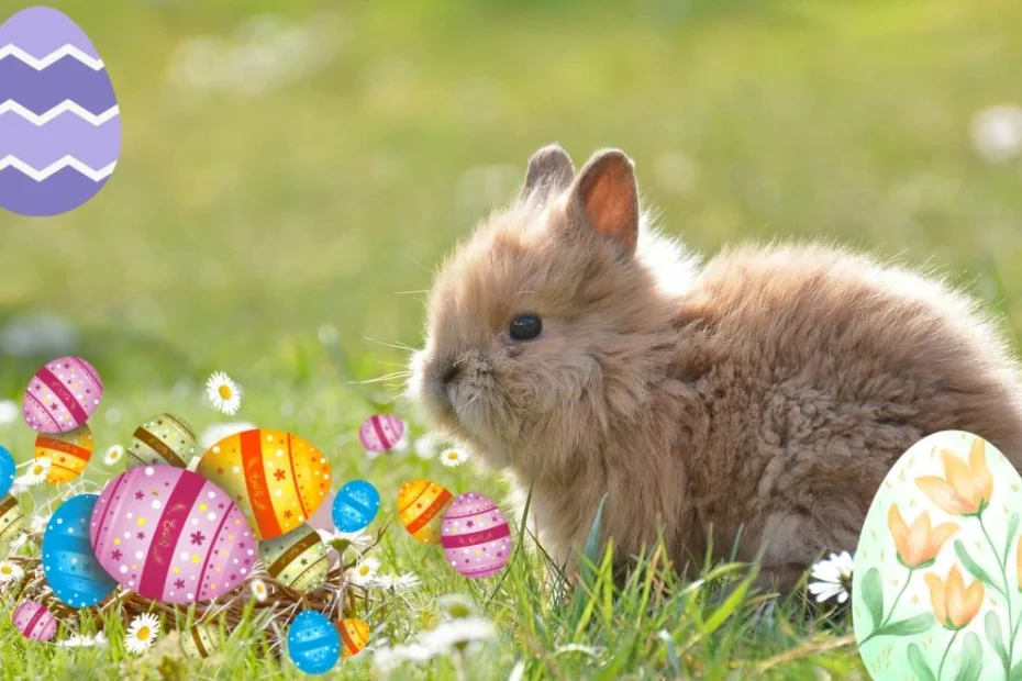 Ładne życzenia wielkanocne - 30 propozycji Foto: wielkanocny zajączek