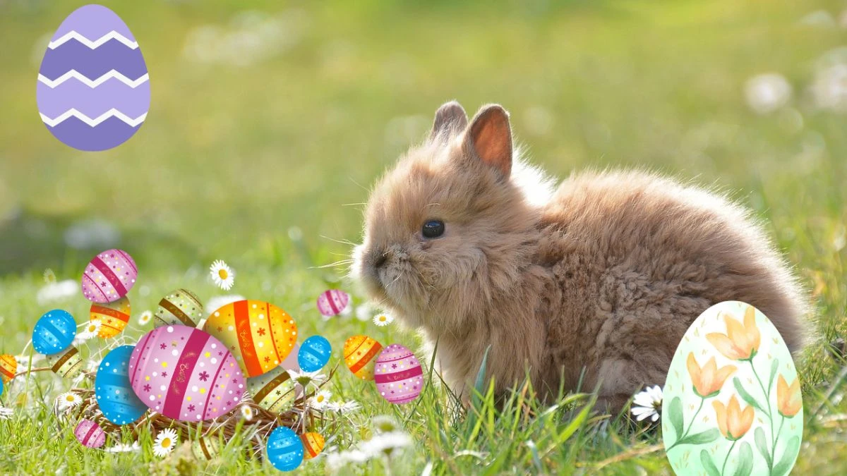 Ładne życzenia wielkanocne - 30 propozycji Foto: wielkanocny zajączek