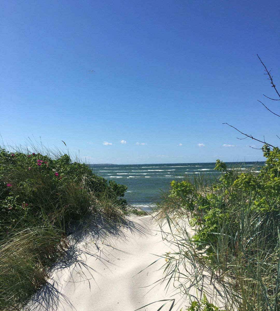 Brytyjka zachwycona polskim wybrzeżem Foto: plaża nad Bałtykiem
