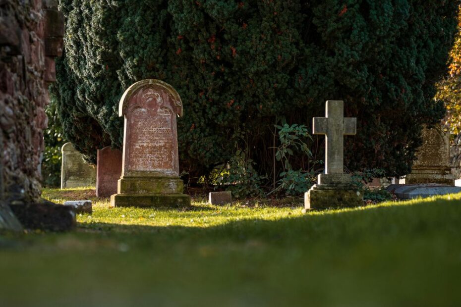 Wspólny pochówek ludzi i zwierząt Foto: cmentarz