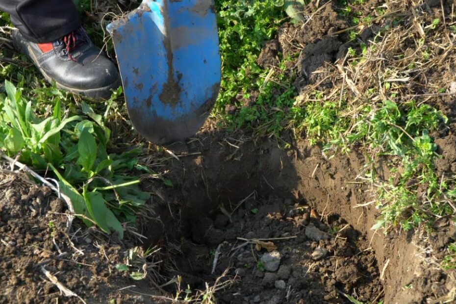 Sensacyjne odkrycie Polaka w Anglii Foto: kopanie w ziemi łopatą