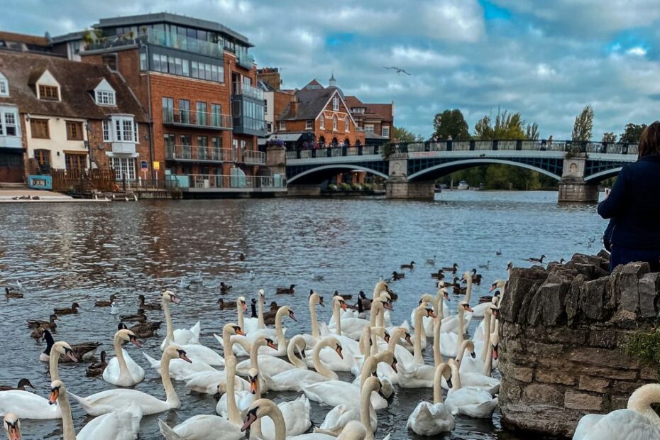 10 miejsc w Wielkiej Brytanii w których ludzie żyją najdłużej Foto: Windsor