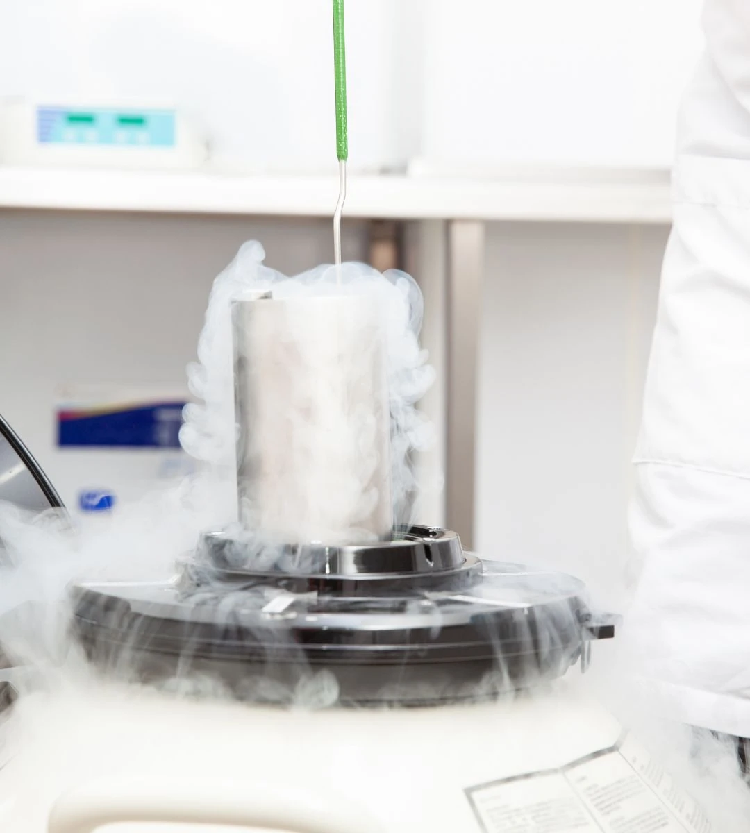 Zamrożony mózg po rozmrożeniu znów zareagował foto: Proces zamrażania tkanki w kriogenicznych warunkach