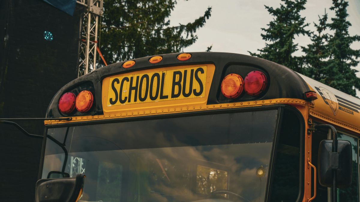 „Psie szkoły” podbijają Kanadę Foto: szkolny autobus