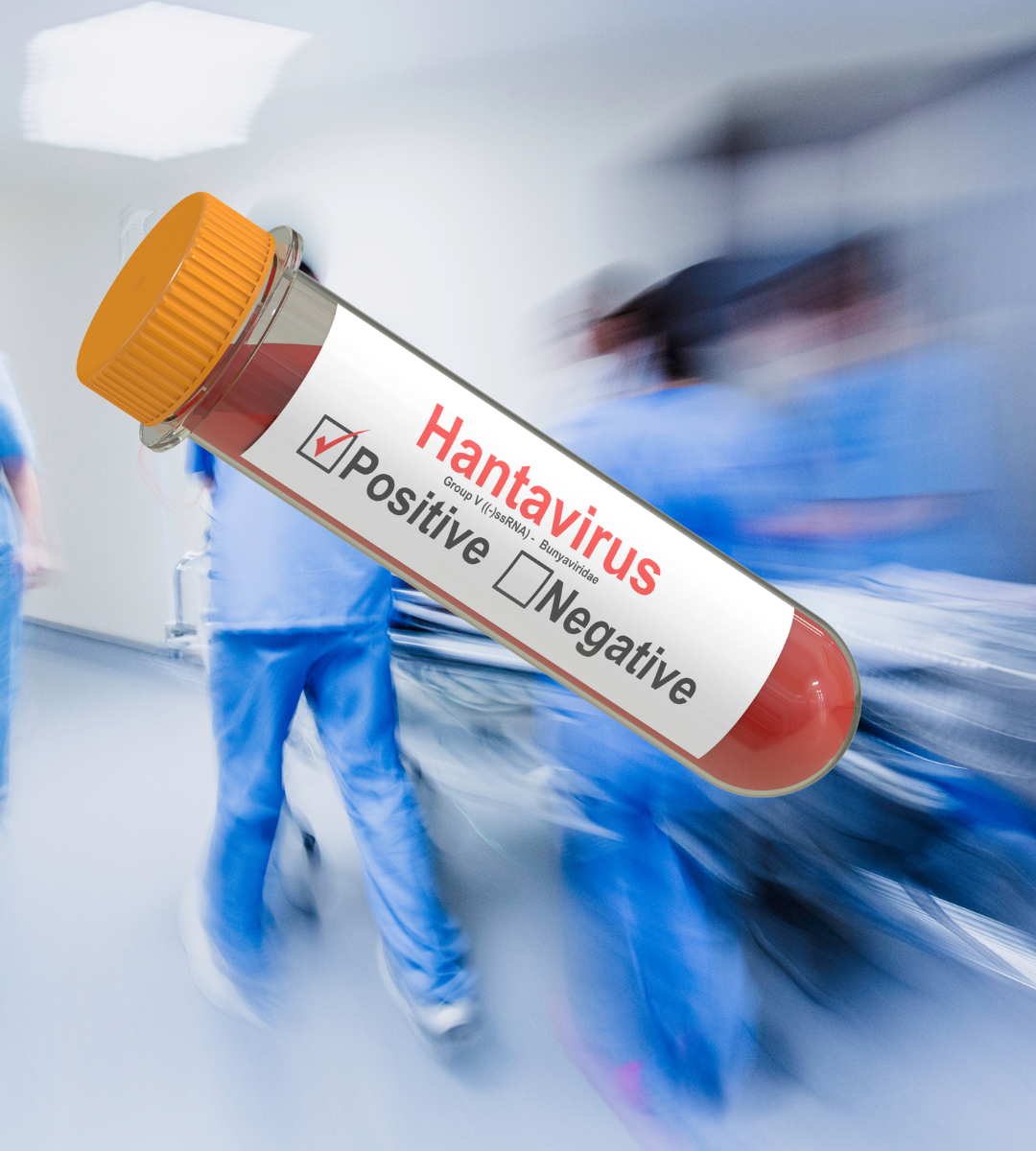 Kolejny Brytyjczyk zakażony hantawirusem 