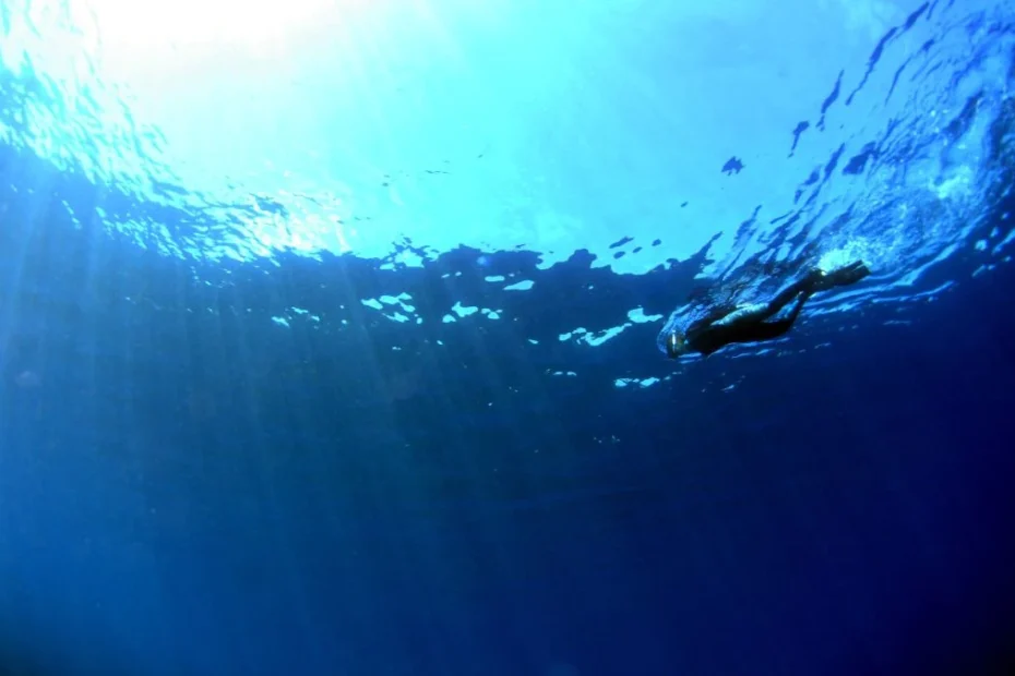 Oceany biją rekord temperatury Foto: ocean