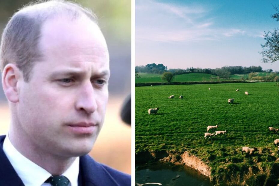 Książę William sprzedaje historyczną posiadłość Foto: zdjęcia Księcia Williama i treny w hrabstwie Herefordshire