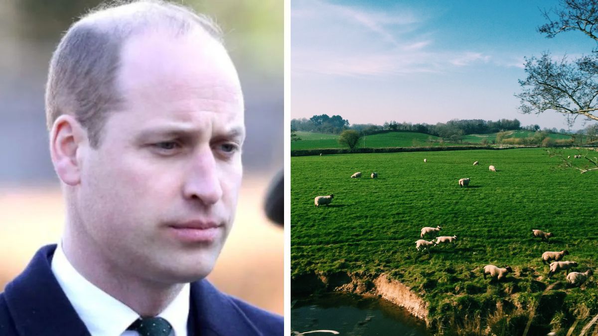 Książę William sprzedaje historyczną posiadłość Foto: zdjęcia Księcia Williama i treny w hrabstwie Herefordshire