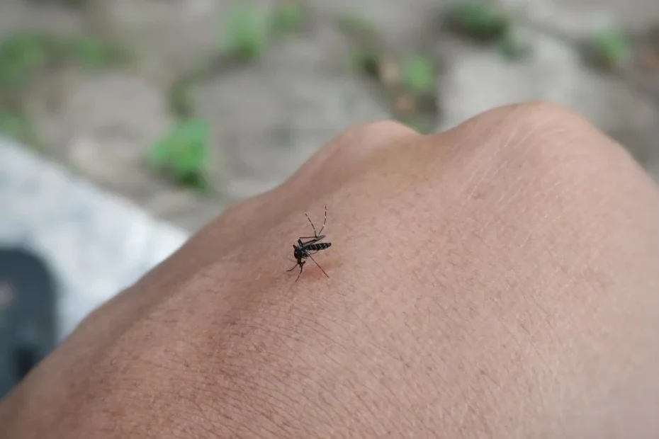 Kogo gryzą najczęściej komary? Foto: komar na dłoni