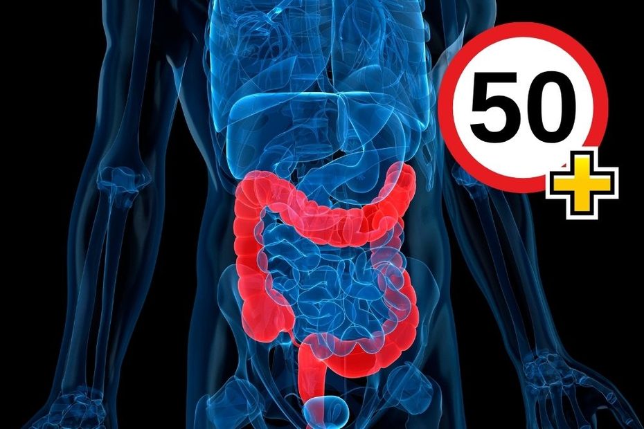 Po 50. roku życia jelita zaczynają działać inaczej Foto; grafika przedstawiająca jelita i znak 50+